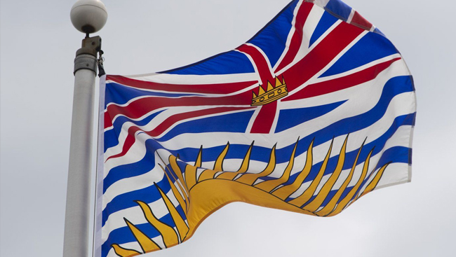 Man presumed drowned after disappearing in Metro Vancouver lake